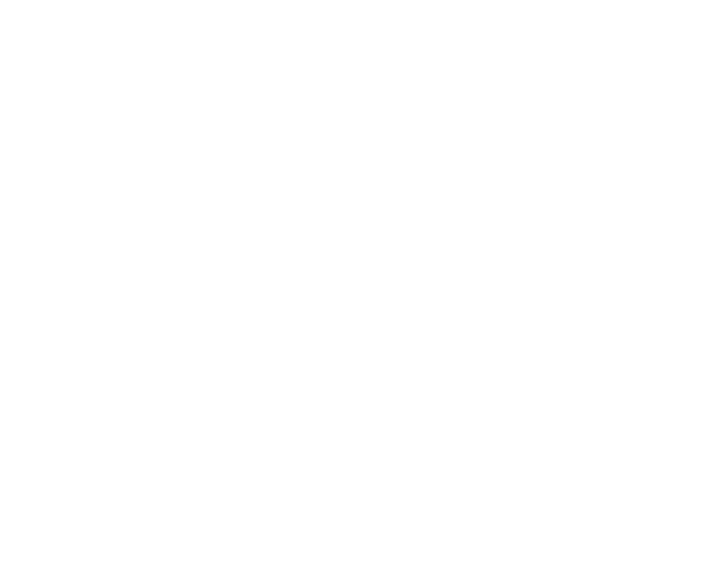 Logo Brixel Torino